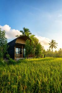 a small house in a field of grass at Lombok Rice Terracce Glamping in Tetebatu