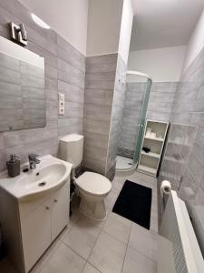 a bathroom with a white toilet and a sink at Kékkúti Apartman in Kékkút +31 photos
