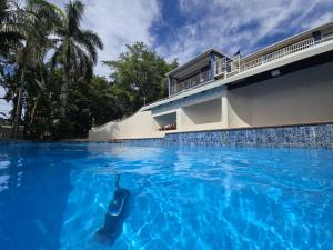a dog swimming in the water in a swimming pool at Nolangeni Lodge in Margate