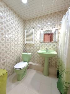 a bathroom with a green toilet and a sink at Nice Apartment in the City Center in Yerevan