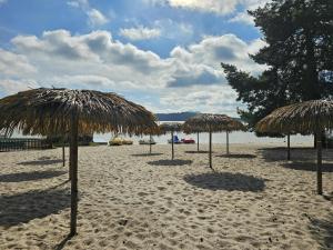 a group of straw umbrellas on a beach at Hotel Bezdez Stare Splavy in Staré Splavy