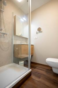 a bathroom with a toilet and a glass shower stall at Enjoy Today Panoramic House Koppenberg in Oudenaarde