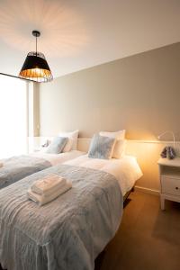 a bedroom with two beds and a light fixture at Enjoy Today Panoramic House Koppenberg in Oudenaarde
