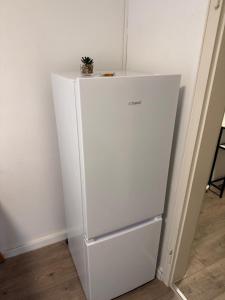 a white refrigerator with a plant on top of it at Schönes Apartment in Top-Lage Karlsruhe in Karlsruhe +8 photos