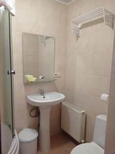 a bathroom with a sink and a toilet and a mirror at Zakarpatska Kolyba in Odesa +75 photos