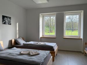 two beds in a room with two windows at Apartmány Papírna in Ostrov