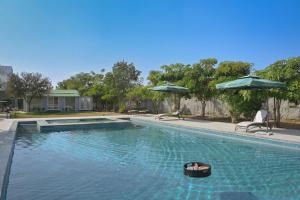 a swimming pool with a dog in a basket in the water at Trulyy The Jawai Leopard Kingdom in Jāmb