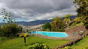 Gallery image of Bay View Apartment in Funchal