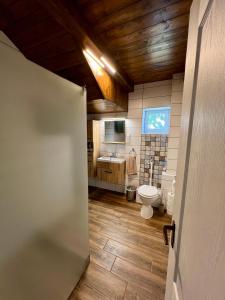 a bathroom with a toilet and a sink at Akácos Tanya Szarvas in Szarvas