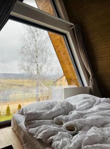 a bed in a room with a large window at Kapa Chalet Bran in Sohodol