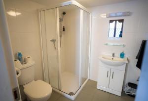 a bathroom with a shower and a toilet and a sink at Mariner's Rest - Cahersiveen in Cahersiveen +7 photos