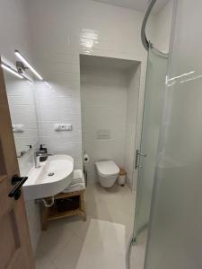 a bathroom with a toilet and a sink and a shower at Penzion u Svatého Prokopa in Středokluky