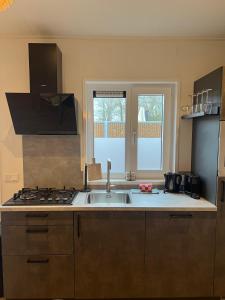 eine Küche mit Spüle und Herd in der Unterkunft Tiny House Cinta- Dichtbij zee & in een groene omgeving in Heinkensand