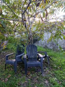 two blue chairs sitting in the grass under a tree at Comfortable house in La Falda in La Falda +4 photos