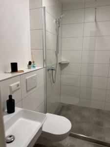 a bathroom with a shower and a toilet and a sink at Die Perle an der Wutach in Lauchringen
