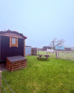 a shed and a picnic table in a yard at The Black Sheep Shepherd's Hut in Prestrie +11 photos