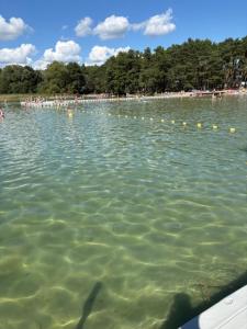 a group of people swimming in a lake at Przystań Lubikowo in Lubikowo