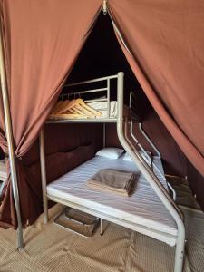 a couple of bunk beds in a tent at Camping de Mer - Onlycamp in Cucq