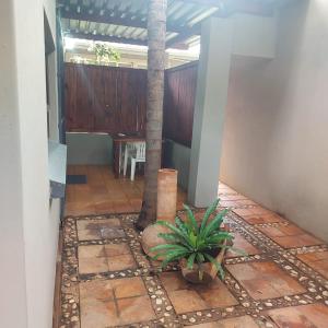 a courtyard with a palm tree in a house at 1atKruger Unit 2 in Mokopane