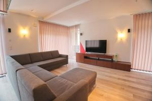 a living room with a couch and a flat screen tv at EK-Living in Fügen