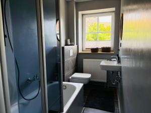 a bathroom with a toilet and a sink at Fewo Seestern in Neukieritzsch +24 photos