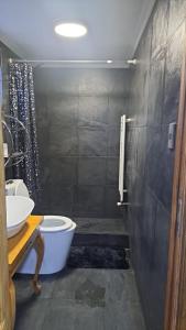 a bathroom with a toilet and a sink and a shower at Central Zenteno en Punta Arenas in Punta Arenas