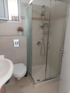 a bathroom with a shower with a toilet and a sink at בית בערבה in Mitzpe Ramon +17 photos