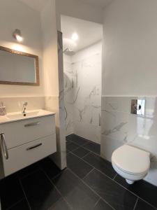 a bathroom with a toilet and a sink at la porte medievale in Carcassonne +25 photos