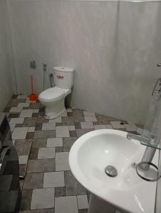 a bathroom with a white toilet and a sink at Ella Top Sky in Bandarawela