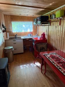 a small kitchen with a table in a room at Campingurlaub mit Blick auf die Elbe in Pfaffendorf