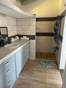 a bathroom with a sink and a shower at Le coin des plaisir in Deshaies