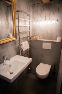 a bathroom with a sink and a toilet and a mirror at Le Passage - Gîte 2 à 15 personnes Chartreuse terrasse, calme & nature in Saint-Pierre-dʼEntremont +35 photos