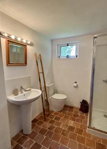 a bathroom with a sink and a toilet and a shower at Pion La Grange - cottage barn conversion in Castelnau-dʼAuzan +24 photos
