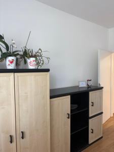 a kitchen with wooden cabinets and two potted plants at Apartment OrMarić in Otočac +8 photos
