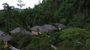 an overhead view of a row of houses in a forest at Khaosok Unseen Resort in Khao Sok National Park