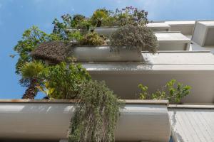 a group of plants on the side of a building at Residence Verdeluna in Marina di Pietrasanta