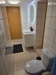 a bathroom with a toilet and a sink and a mirror at Cosy Studio CatHouse in Radovljica +10 photos