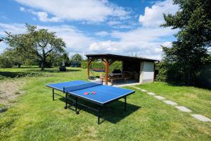 a ping pong table in a yard with a gazebo at Pension U Babi in Chrášťany