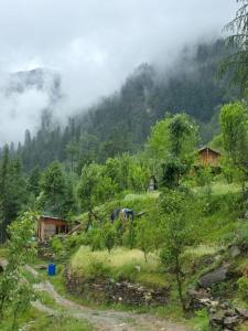 Gallery image of The magic meadows in Kulu