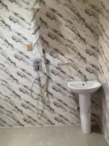 a bathroom with a sink and a shower at King Arthur Apartment in Akwa +26 photos