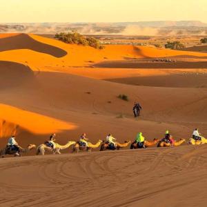 a group of people riding camels in the desert at Grand Dunes Luxury Camp in Merzouga