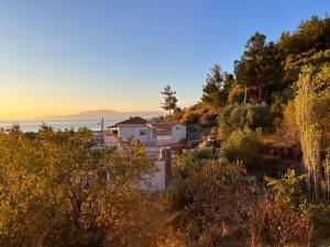 a view of a house on a hill with trees at Rose House in Kavála
