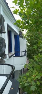 a bird sitting on a window sill of a house at iomnium in Tigzirt