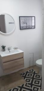 a bathroom with a sink and a mirror and a toilet at Zebra game farm in Brits +20 photos