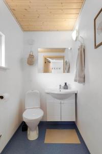 a bathroom with a white toilet and a sink at OH585-Hadsund-Brondbaekken-34 in Øster Hurup +14 photos