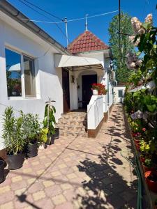 ein weißes Haus mit Topfpflanzen auf einem Gehweg in der Unterkunft La DeDe in Calafat