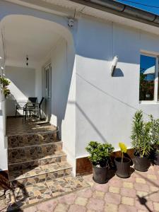 ein weißes Haus mit Topfpflanzen auf einer Terrasse in der Unterkunft La DeDe in Calafat + 10 Fotos