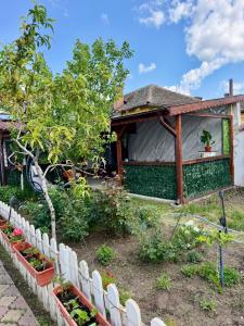 ein Garten vor einem Haus in der Unterkunft La DeDe in Calafat