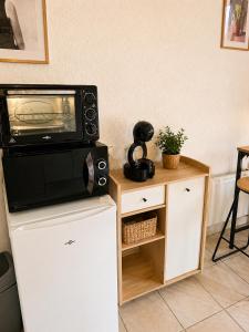 a microwave oven sitting on top of a refrigerator at Studio cosy Valras, plage à 20 m in Valras-Plage