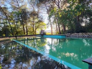 a pool of water with trees in the background at Il Poggio B&B in Ginestra